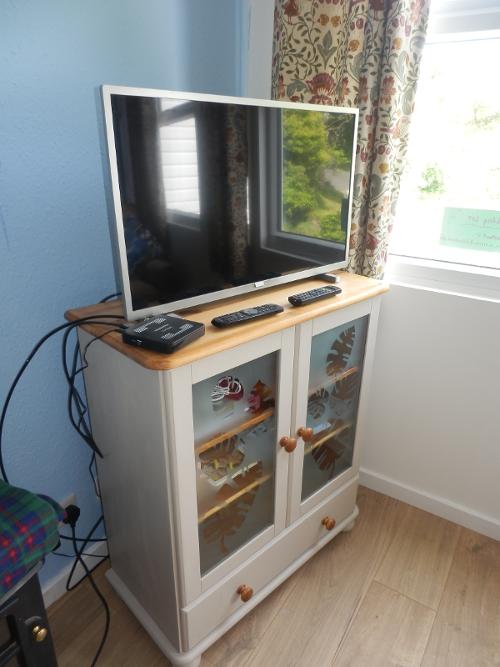 Television