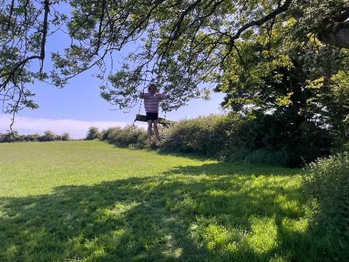 Swing field