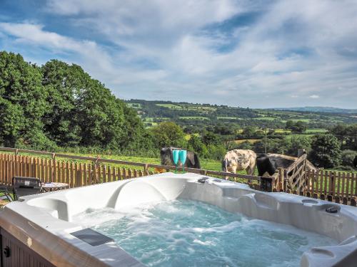 Your View From Your Jacuzzi Hot Tub