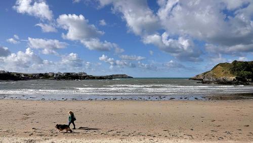Cemaes Beach Dog Friendly