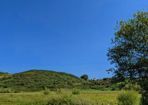 Coed View