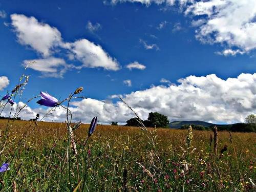 Set in stunning countryside
