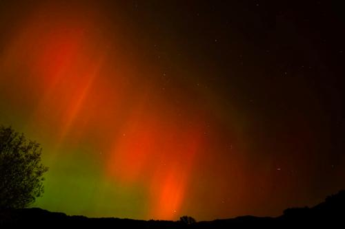 Aurora from the garden.