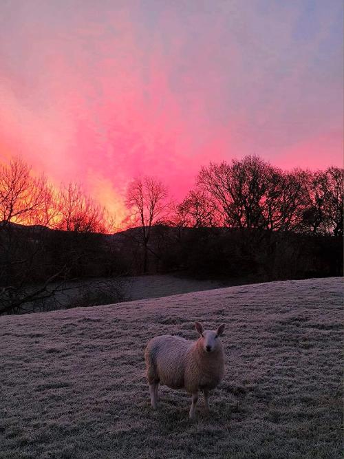Sunrise