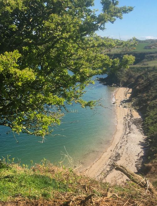 View from costal path