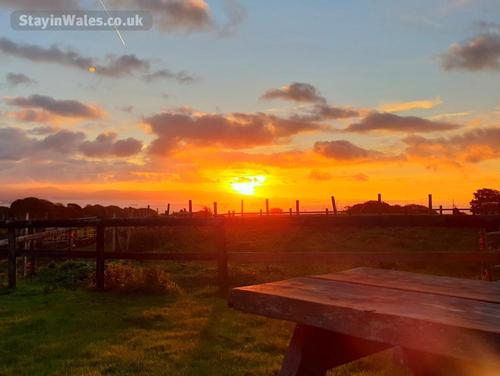Clyne Farm Centre - Sunrise