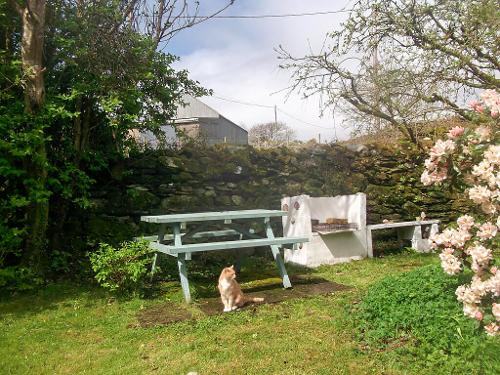 Picnic bench and barbecue