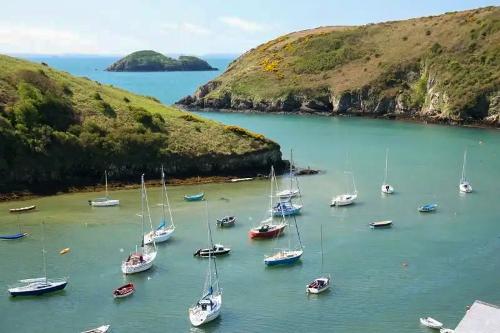 A short walk from Solva Harbour