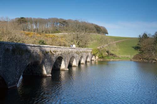 Blosherston lily ponds