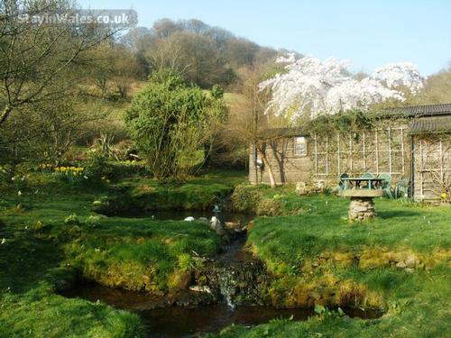 Spring view from outside bunkhouse