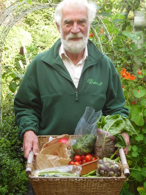 Veggie box delivery