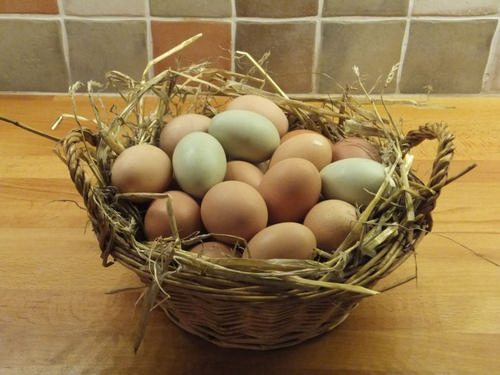 Fresh eggs from our own chickens