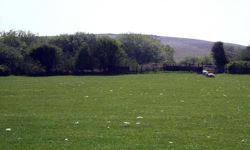 A rural view of Hardingsdown Hill from The Bunkhouse