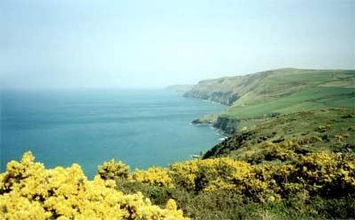 View from coastal path towards New Quay.
