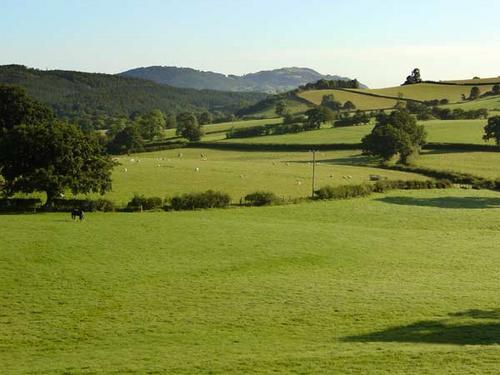 View from the cottages looking down towards the Meifod valley