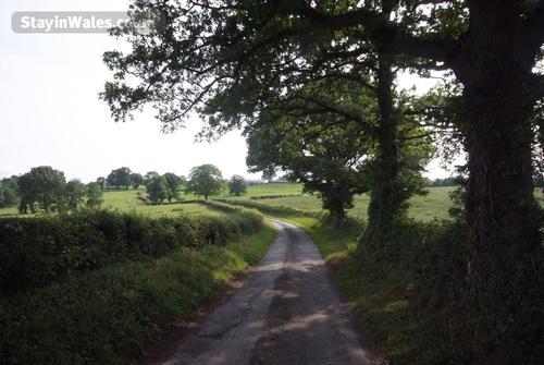 Lane up to the cottages