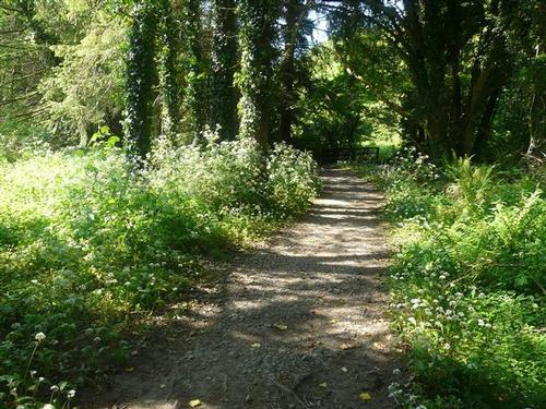 We have private access to this public footpath that leads you to Wiseman's Beach.