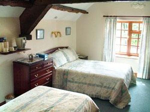 B&B - Room 2