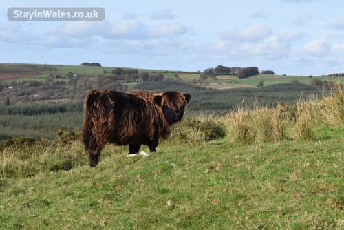 A friendly neighbour