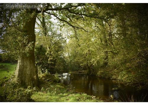 Fantastic Scenery to explore on the farm