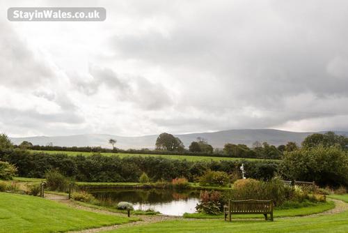 View of the Preselis Over the Pond.