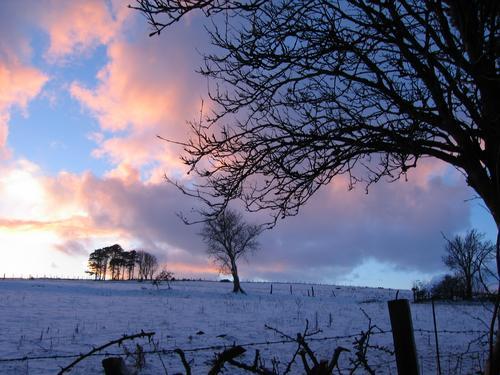 Sunset in winter