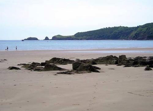 Local beach