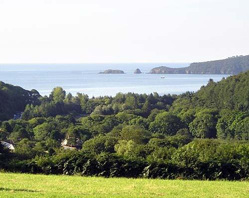 Local view