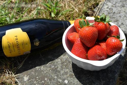 Indulgence on holiday