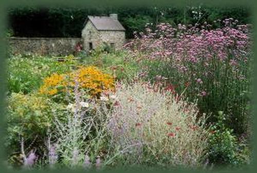 Ty Glyn Walled Garden