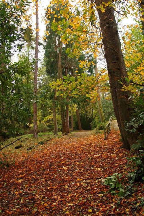 Autumn in the Secret Gardens