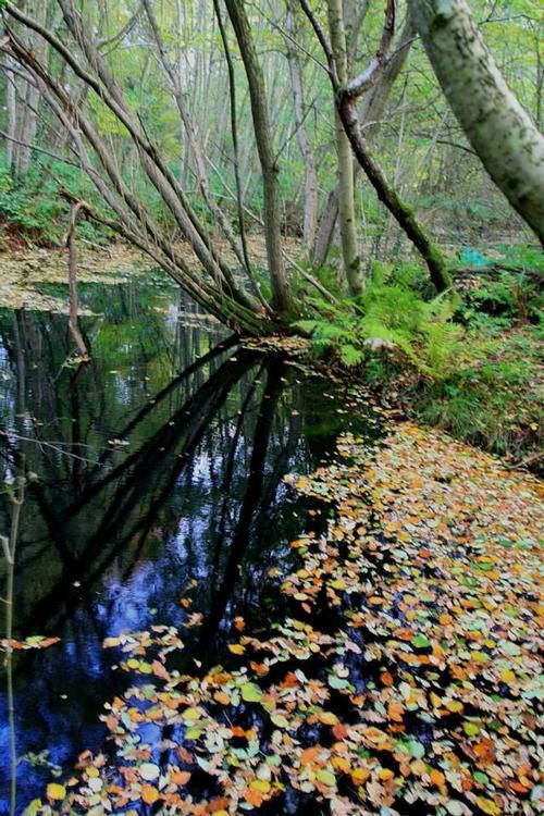 Autumn in the Secret Garden