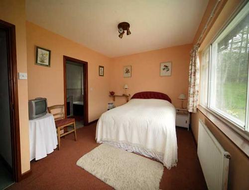 Begwyns - double room