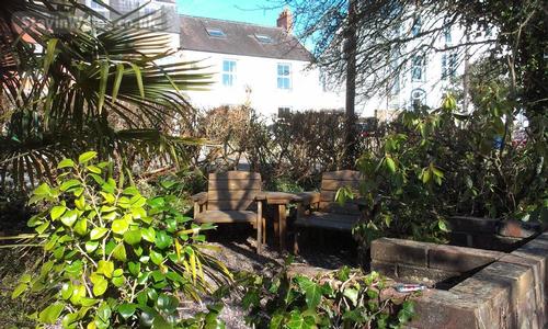 Part of the Garden