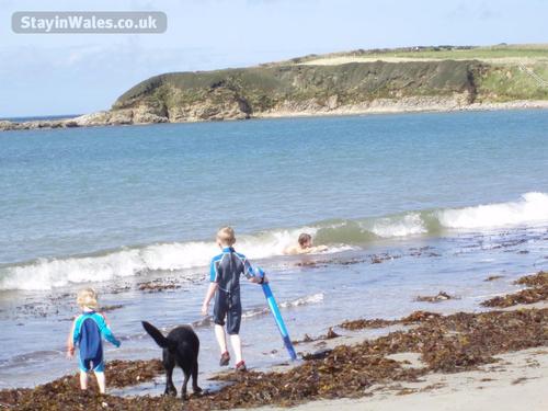 Trefadog beach