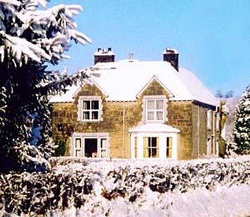 The house