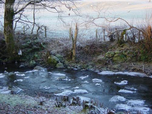 The trout stream