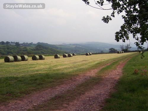 Penylan Farm