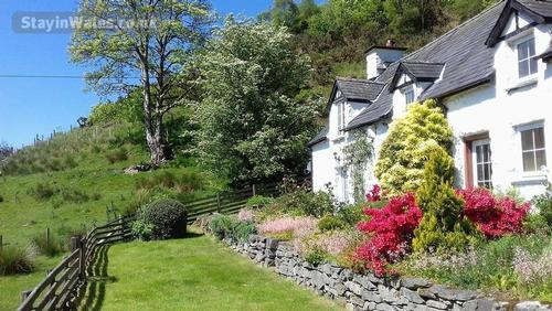 Spring at Maesglas