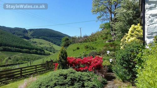 View from the garden