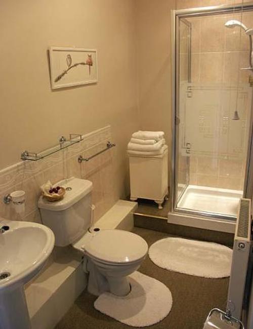 Bed and Breakfast shower room