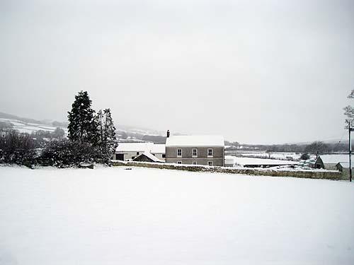 Fferm Glanyrynys in snow