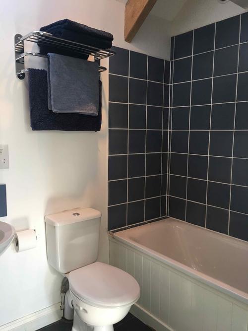 Bathroom with shower over the bath and toilet