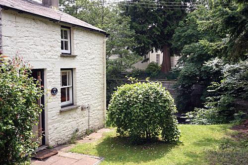The cottage and garden