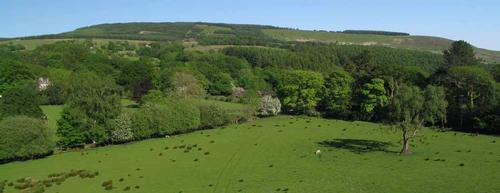 Plas Farm - Guests can explore over 100 acres of spectacular countryside