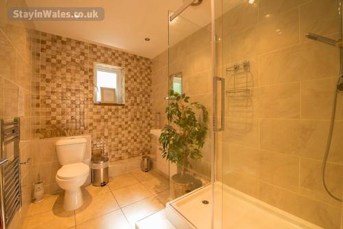 Bunkroom Bathroom