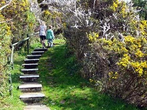 Steps to the chalet