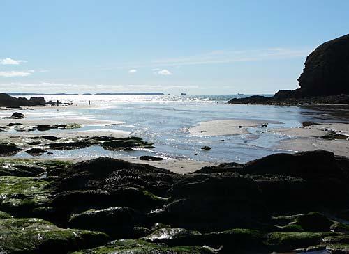 The beach at Nolton Haven