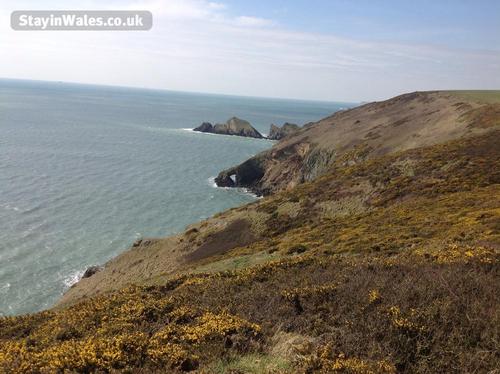 The Coastal Walk To Druidston (1hour)