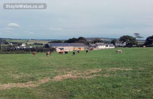 Lower Hardingsdown Farm